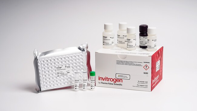 Mouse CD48 Rapid ELISA Kit (EELR155)