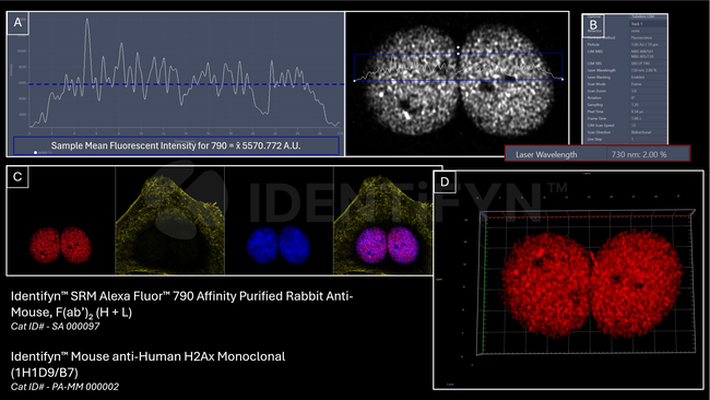 Mouse IgG, (H+L) SRM Secondary Antibody in Immunocytochemistry (ICC/IF)