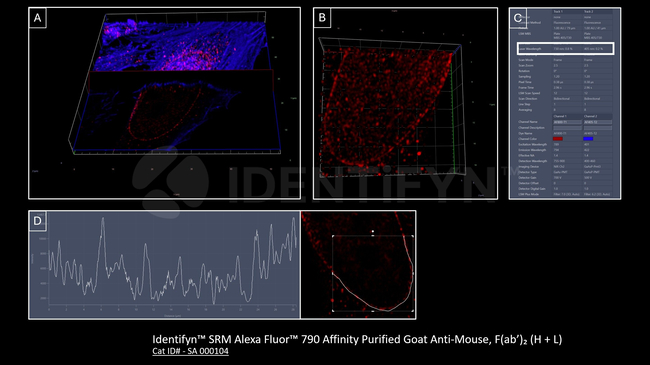 Mouse IgG, (H+L) SRM Secondary Antibody in Immunocytochemistry (ICC/IF)