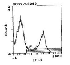 Rat Kappa Light Chain Secondary Antibody in Flow Cytometry (Flow)
