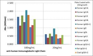 Human Ig (Light chain) Secondary Antibody in ELISA (ELISA)