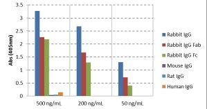 Rabbit IgG (H+L) Secondary Antibody in ELISA (ELISA)