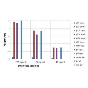 Mouse Lambda Light Chain Secondary Antibody in ELISA (ELISA)