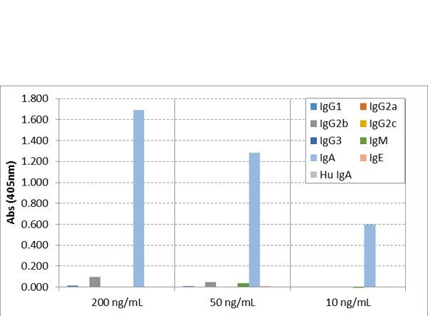 Mouse IgA Secondary Antibody in ELISA (ELISA)