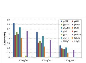 Mouse IgG Fab Secondary Antibody in ELISA (ELISA)