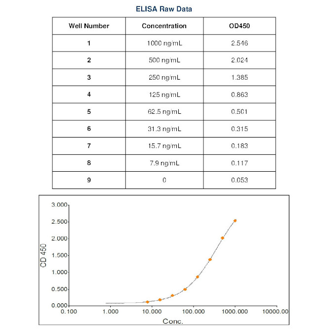 Human Lambda Light Chain Secondary Antibody in ELISA (ELISA)
