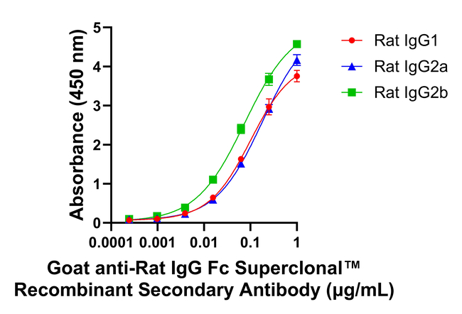 Rat IgG Fc Secondary Antibody in ELISA (ELISA)