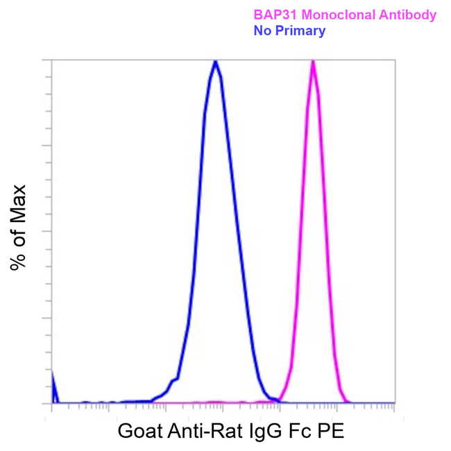 Rat IgG Fc Secondary Antibody in Flow Cytometry (Flow)