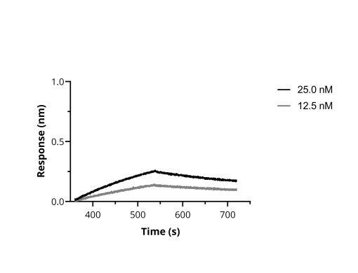 SARS-CoV-2 Spike VHH Antibody in Functional Assay (Functional)