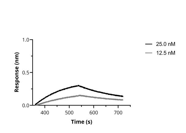 SARS-CoV-2 Spike VHH Antibody in Functional Assay (Functional)