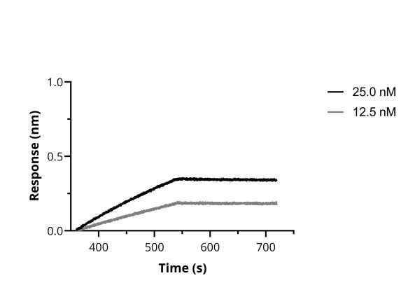 SARS-CoV-2 Spike VHH Antibody in Functional Assay (Functional)
