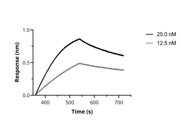 SARS-CoV-2 Spike VHH Antibody in Functional Assay (Functional)