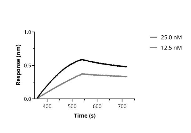 SARS-CoV-2 Spike VHH Antibody in Functional Assay (Functional)