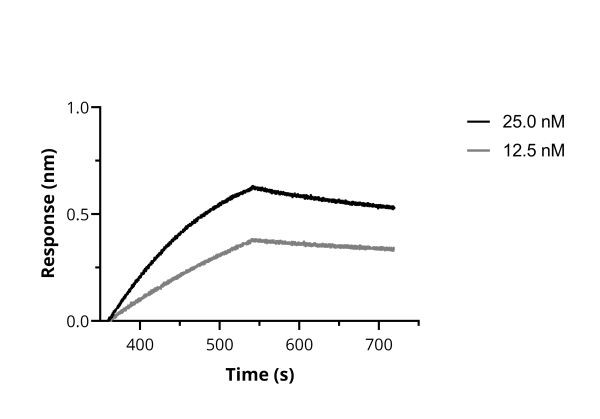 SARS-CoV-2 Spike VHH Antibody in Functional Assay (Functional)