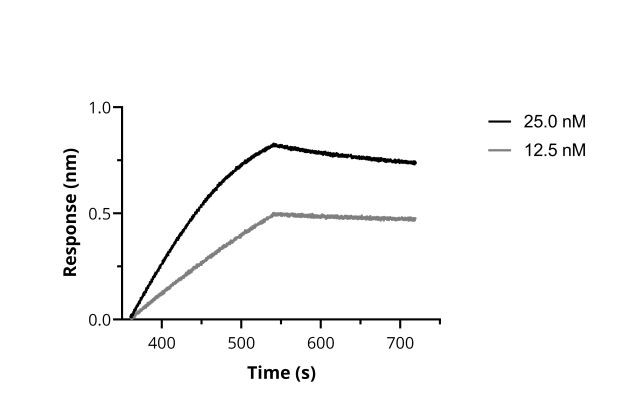 SARS-CoV-2 Spike VHH Antibody in Functional Assay (Functional)