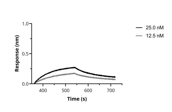 SARS-CoV-2 Spike VHH Antibody in Functional Assay (Functional)