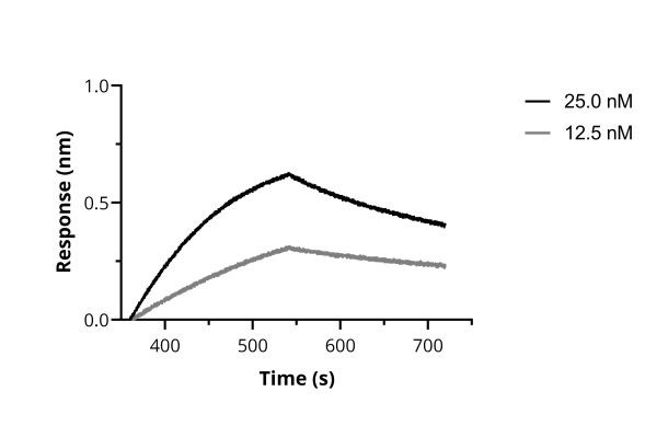 SARS-CoV-2 Spike VHH Antibody in Functional Assay (Functional)