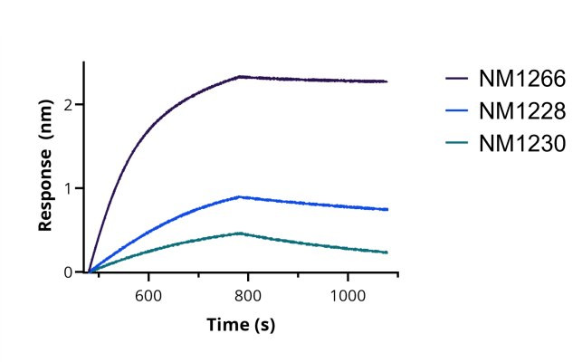 SARS-CoV-2 Spike VHH Antibody in Functional Assay (Functional)