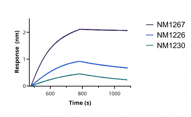 SARS-CoV-2 Spike VHH Antibody in Functional Assay (Functional)