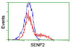 SENP2 Antibody in Flow Cytometry (Flow)