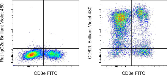 CD62L (L-Selectin) Antibody in Flow Cytometry (Flow)
