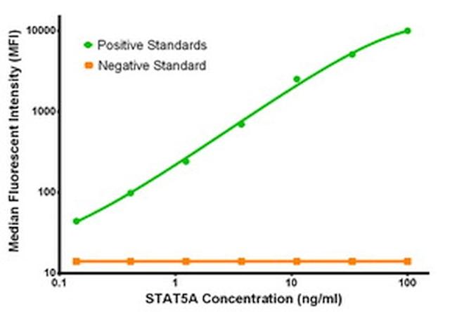 STAT5A Antibody in Luminex (Luminex)
