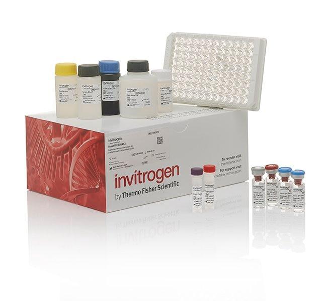 Human DR6 ELISA Kit (EH530RB) - Invitrogen