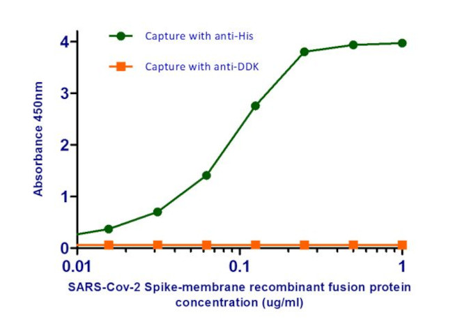 SARS-CoV-2 Spike protein RBD Chimeric Antibody in ELISA (ELISA)