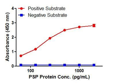 REG1 alpha Antibody in ELISA (ELISA)