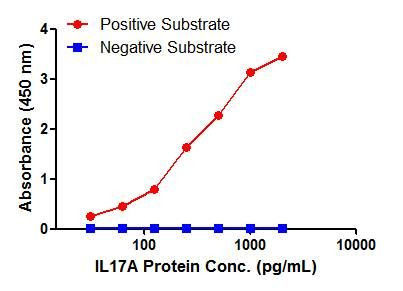 IL-17A Antibody in ELISA (ELISA)