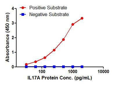 IL-17A Antibody in ELISA (ELISA)