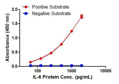 IL-6 Antibody in ELISA (ELISA)