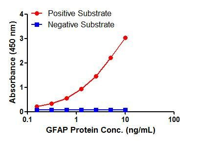 GFAP Antibody in ELISA (ELISA)