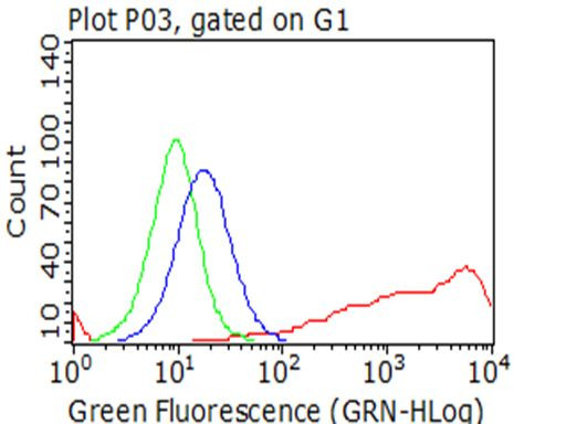 NGFR Antibody in Flow Cytometry (Flow)