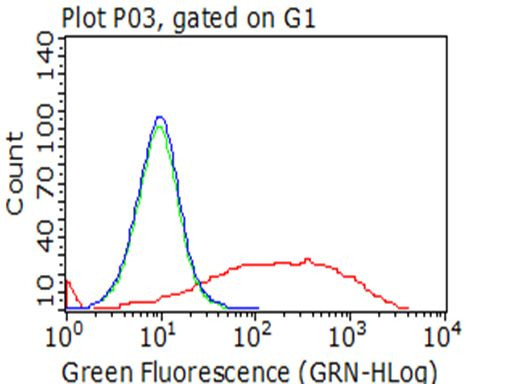 NGFR Antibody in Flow Cytometry (Flow)