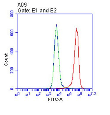 CD9 Antibody in Flow Cytometry (Flow)