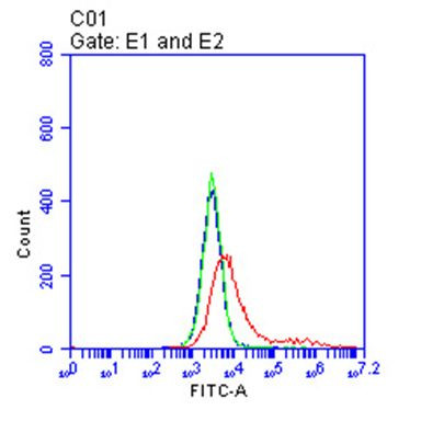 TNFRSF17 Antibody in Flow Cytometry (Flow)