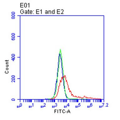 TNFRSF17 Antibody in Flow Cytometry (Flow)
