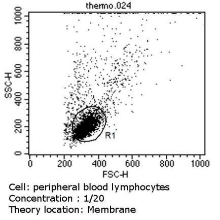 TCR V beta 5a Antibody in Flow Cytometry (Flow)