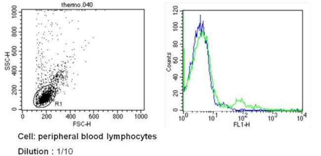 TCR V beta 8b Antibody in Flow Cytometry (Flow)