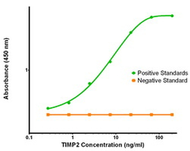 TIMP2 Antibody in ELISA (ELISA)