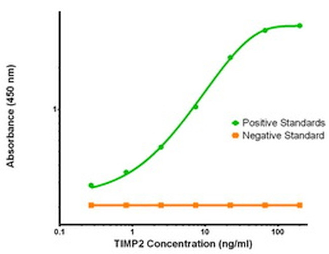 TIMP2 Antibody in ELISA (ELISA)