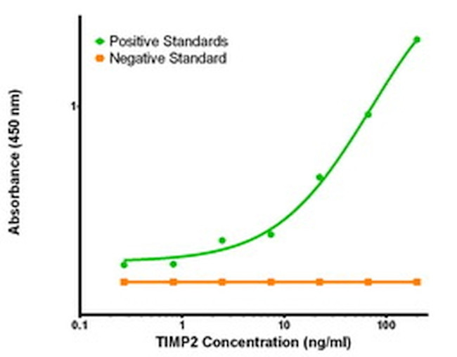 TIMP2 Antibody in ELISA (ELISA)