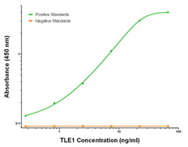 TLE1 Antibody in ELISA (ELISA)