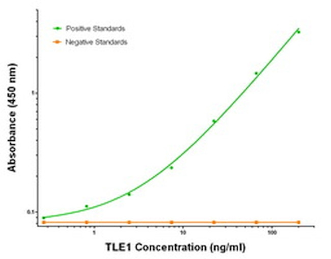 TLE1 Antibody in ELISA (ELISA)