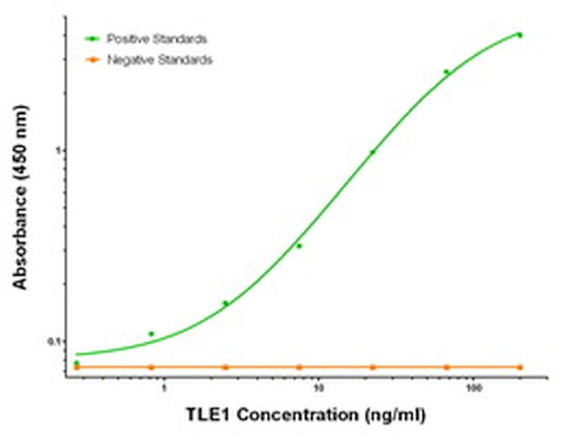 TLE1 Antibody in ELISA (ELISA)