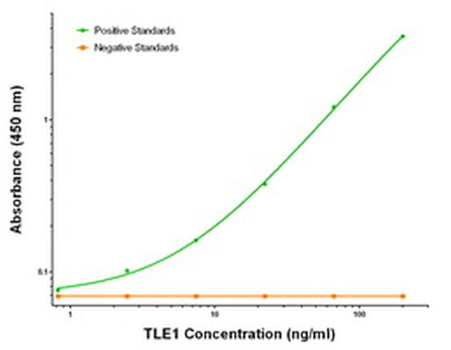 TLE1 Antibody in ELISA (ELISA)