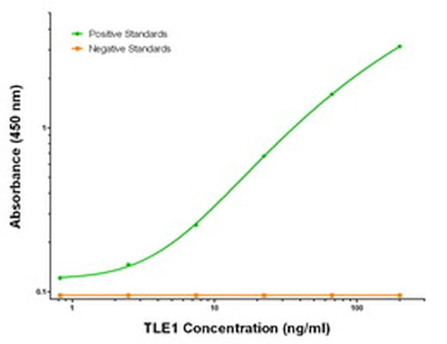 TLE1 Antibody in ELISA (ELISA)