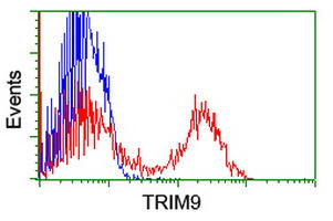 TRIM9 Antibody in Flow Cytometry (Flow)