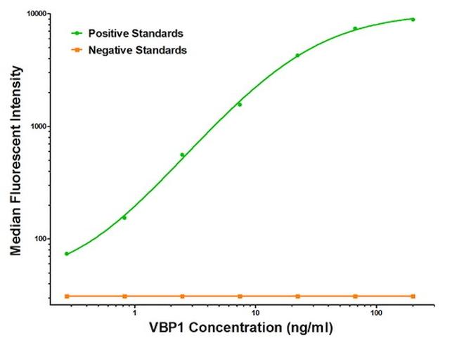 VBP1 Antibody in Luminex (Luminex)